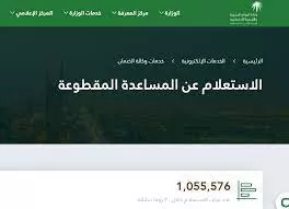 شروط وموعد صرف المساعدة المقطوعة في السعودية “مقطوعة الضمان الاجتماعي”