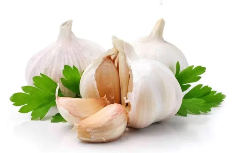 احذرو من استخدام الثوم بهذه الطريقة في طعامكم