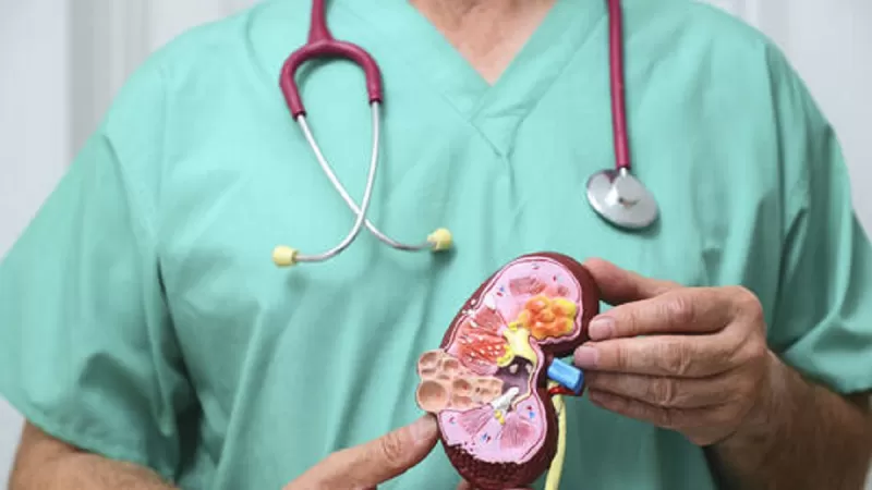 الاطباء ينصحون بتناول كوب واحد كل يوم من هذا المشروب المعجزة لتنظيف الكلى من السموم تماماً وتفتيت الحصوات بدون ادوية ولا عمليات