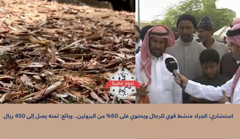 فيديو بالتجربة.. استشاري سعودي يوضح فوائد الجراد كمنشط جنسي للرجال اقى بعدة مرات من الفياجرا