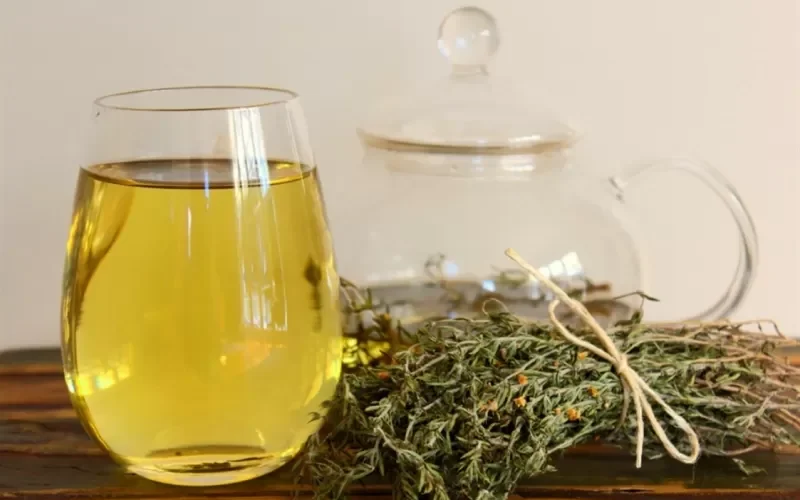 هذه العشبة افضل علاج طبيعي للكحة والتهاب الحنجرة والتخلص من البلغم