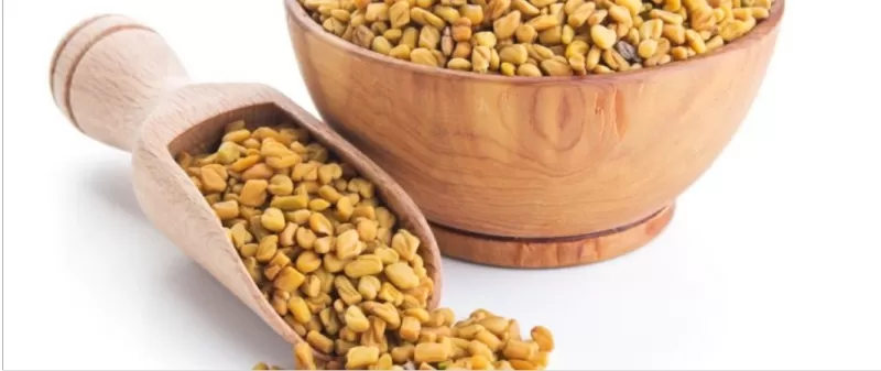 انسولين الحلبة الطبيعي يذهل الأطباء ويكتب حياة جديدة لمرضى السكري