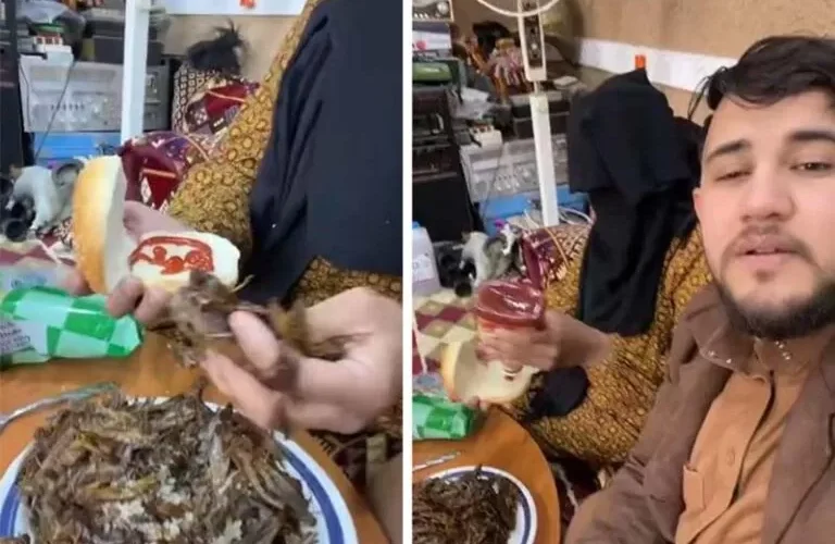 شاهد: ردت فعل غير متوقعة من حفيد فاجأته جدته ببيرجر جراد في السعودية