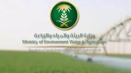 آلية ومتطلبات طلب رخصة صيد موسمية