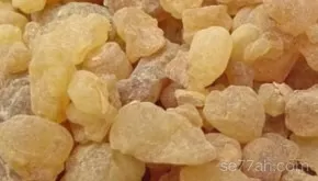 الفوائد العجيبة للبان الذكر في التخسيس والتجميل وتنقية الجسم من السموم لن تتوقف عن تناوله !!