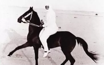 تسريب صورة للملك سلمان وهو يمارس هذا العادة