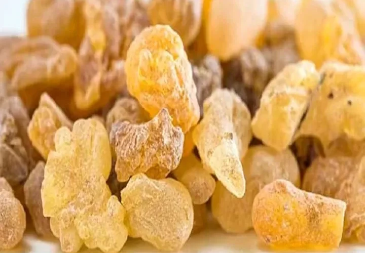 ما هو الاستخدام السري للبان الذكر الذي تخفيه النساء عن الرجال؟