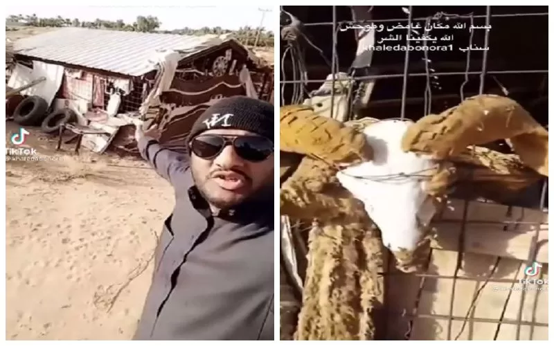 شاهد سعودي يعثر على “عشة” مهجورة وسط الصحراء.. وعندما اقترب منها كانت المفاجأة الصادمة ..