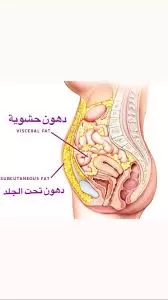 ما هي الدهون الحشوية؟ وما هي اضرارها القاتلة  على جسمك وطرق التخلص منها.. معلومات قد تصدمك