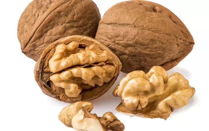 عـــين الجمل حبات منها تشعل الرغبة والقوة الجنسية عند الرجال عند تناولها في هذا الوقت من اليوم