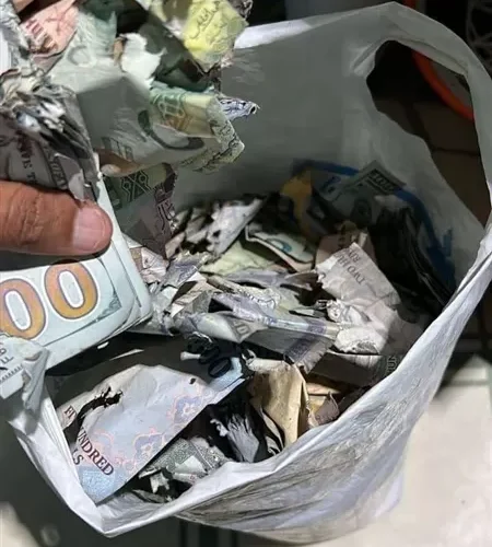 بالفيديو: وديعة من نوع خاص جداً في محل صرافة في تعز