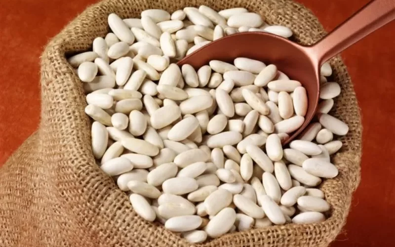 اسرار الفاصوليا البيضاء وكيف تصنع المعجزات خاصة عن طبخها بهذه الطريقة !!