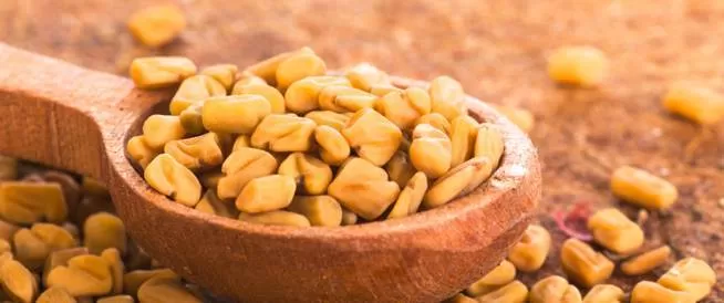 وصفة الحلبة لزيادة الوزن والتخلص من النحافة استخدميها بهذه الطريقة !!