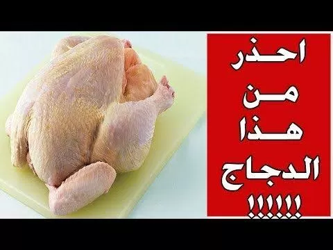 اربعة اجزاء من الدجاج تناولها يهدد حياتك والاطباء يحذرون منها