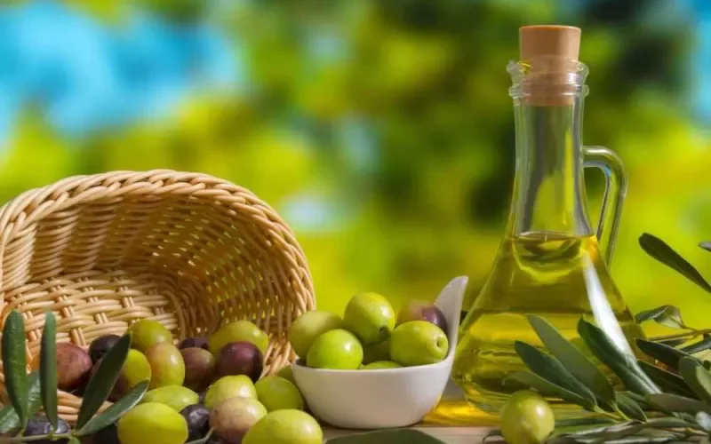 مقارنة كاملة بين فوائد زيت الزيتون وزيت الافوكادو