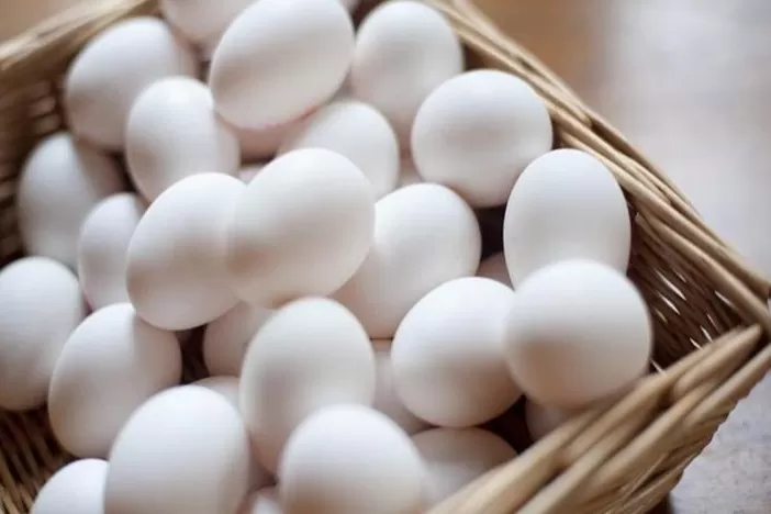 هذا النوع من البيض هو الأكثر فائدة لجسم الانسان ويحتوي على كمية كبيرة من اهم فيتامين يمنحك العمر الطويل