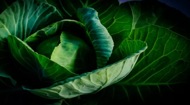 هذه الخضروات الثلاثة وصفة سحرية لحماية قلبك والوقاية من اكثر امراض تفتك بحياة الرجال