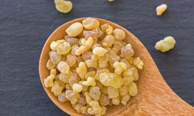 الفوائد العظيمة لمنقوع لبان الذكر للرجال تجعله اقوى من علبة فياجرا كاملة