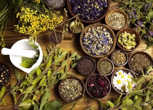 اربعة اعشاب تحميك من الجلطات