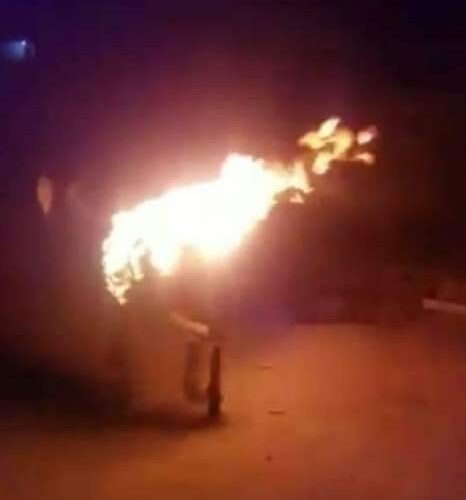إحراق حمار على قيد الحياة يثير جدلا واسعا في اليمن ونشطاء يطالبون بمعاقبة مرتكب الجريمة البشعة (صورة)