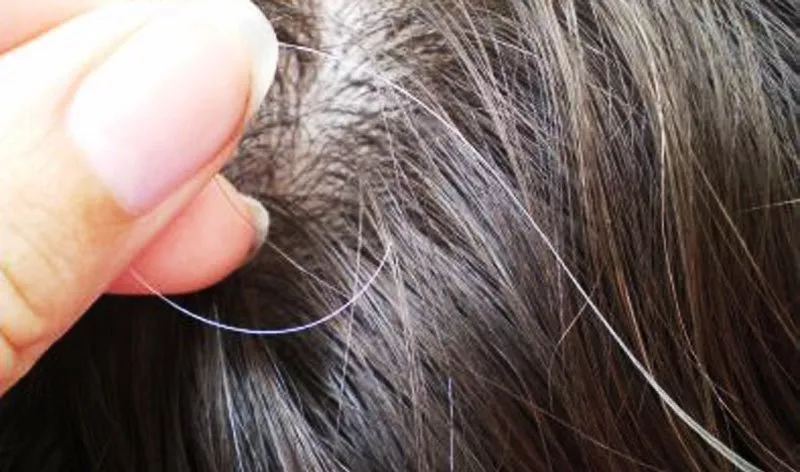 وصفة سعودية شعبية تخلصك من كل اثار الشيب والتقدم في السن خلال ساعات فقط