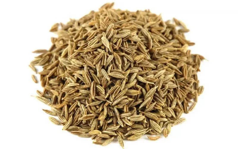 اطباء يشرحون كيف يعالج الكمون الالتهابات والأمراض الهضمية ويحفّز البنكرياس ويخلص الكبد من السموم ويساهم في علاج البرد وتحسين المناعة.. إليك طريقة الاستخدام