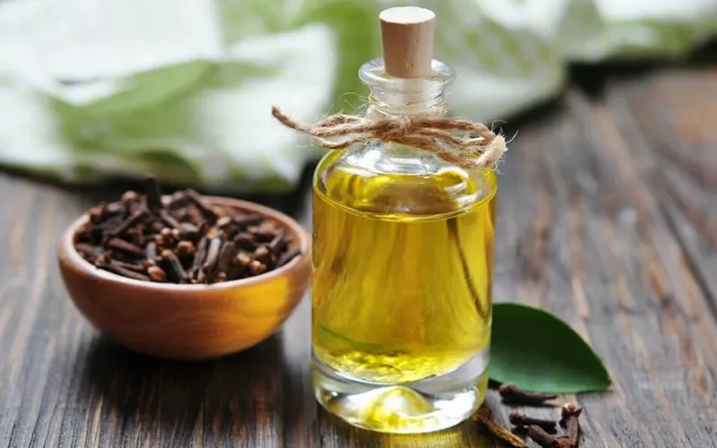 اضف حبات من القرنفل لزيت الزيتون وشاهد بنفسك كيف ستتغيى حياتك للابد بعد تناول هذه الخلطة الجبارة