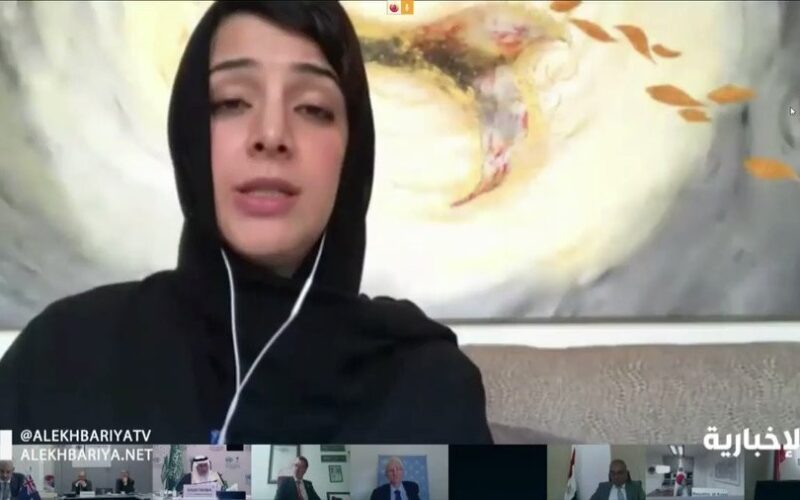 شاهد .. ردة فعل وزيرة إماراتية بعد ظهور طفلها وهي تلقي خطابا في مؤتمر المانحين لليمن