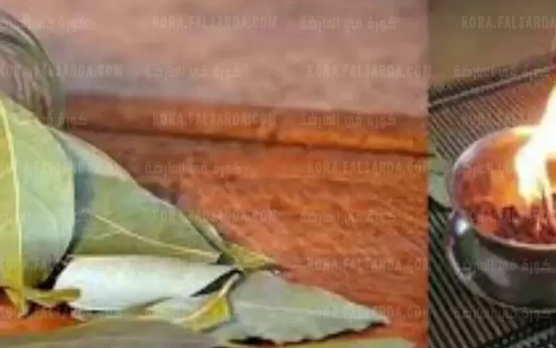 سحر سيحدث في منزلك وستتغير حياتك تماماً عند حرق هذه العشبة في منزلك كل يوم