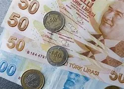 الليرة التركية تهبط إلى مستوى تاريخي جديد