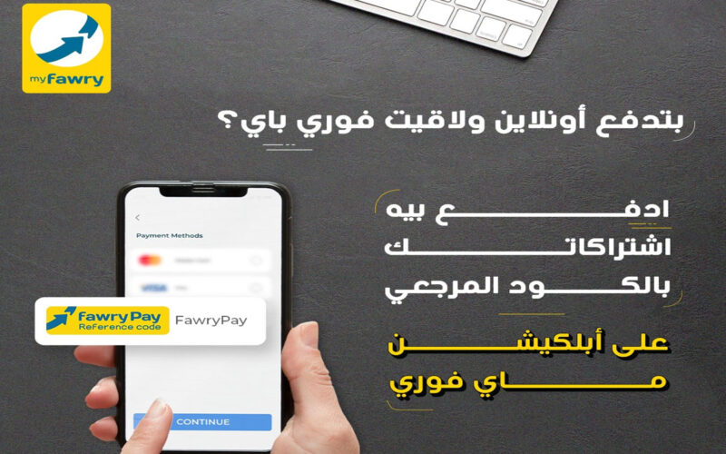 تفاصيل اختراق تطبيق فوري للمدفوعات في مصر وتسريب بيانات الملايين