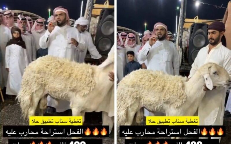 فيديو مزاد بيع خروف في السعودية بنصف مليون ريال والسبب في سعره لا يخطر على بال