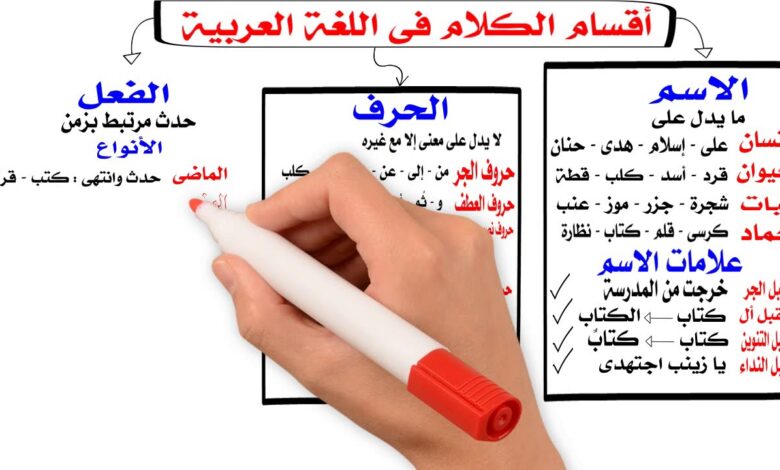 شرح أنواع الكلمة في اللغة العربية