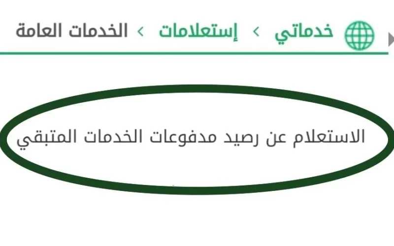 الاستعلام عن رصيد مدفوعات الجوازات السعودية برقم الهوية 2024